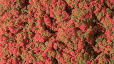 AUHAGEN 76932 — Цветочный луг с красными цветами (мат 95 × 150 мм), TT-H0