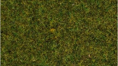 NOCH 08152 — Трава луговая (флок) ~2,5 мм (120 г = NOCH 08312 × 6 по 20 г), 1:18—1:220