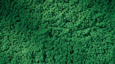 AUHAGEN 76670 — Трава темно-зеленая (пена 150 × 250 мм ≈0,04 м², ~20 г), 1:35—1:220, сделано в Германии