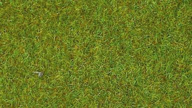 HEKI 30902 — Трава светло-зелёная (рулон 1000 × 2000 мм ≈ 2 м², флок 2,5 мм), 1:35—1:250, сделано в Германии