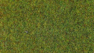 HEKI 3359 — Трава «Весенний луг» (флок ~2—3 мм, ~100 г), 1:10—1:250, сделано в Германии