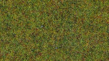 HEKI 3360 — Трава «Летний луг» (флок ~2—3 мм, ~100 г), 1:10—1:250, сделано в Германии