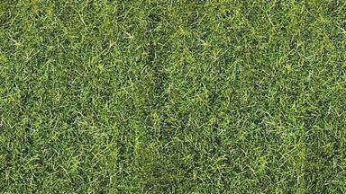 HEKI 3369 — Трава «Тёмно-зелёный луг» (флок ~5—6 мм, ~75 г), 1:10—1:200, сделано в Германии