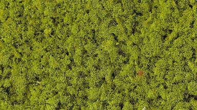 HEKI 3386 — Трава светло-зелёная (присыпка средняя ~200 мл), 1:35—1:200, сделано в Германии