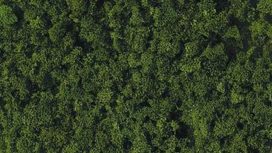 HEKI 3387 — Трава тёмно-зелёная (присыпка средняя ~200 мл), 1:35—1:200, сделано в Германии