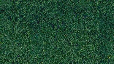 HEKI 1613 — Растительность зелёная сосна (мини флокаж 200 мл.), 1:35—1:1000 сделано в Германии