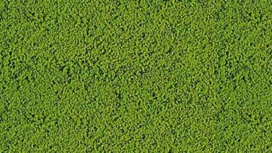 HEKI 1611 — Растительность зелёная (мини флокаж ~200 мл, 20 г), 1:35—1:1000, сделано в Германии