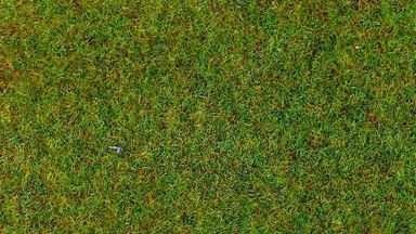 HEKI 3350 — Трава «Весенний луг» (флок ~2—3 мм, ~20 г), 1:10—1:250, сделано в Германии