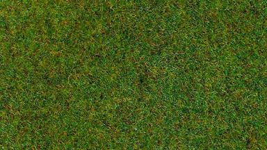 HEKI 3351 — Трава «Лесная подстилка» (флок ~2—3 мм, ~20 г), 1:10—1:250, сделано в Германии