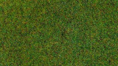 HEKI 3354 — Трава «Летний луг» (флок ~2—3 мм, ~20 г), 1:10—1:250, сделано в Германии