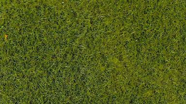 HEKI 3364 — Трава светло-зеленая (флок ~2—3 мм, ~50 г), 1:35—1:250, сделано в Германии