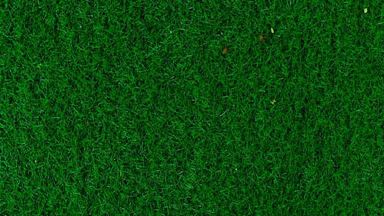 HEKI 3366 — Трава тёмно-зеленая (флок ~2—3 мм, ~50 г), 1:35—1:250, сделано в Германии