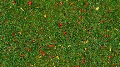 HEKI 30922 — Трава «Цветочный луг» (рулон 2000 × 1000 мм ≈ 2 м²), 1:35—1:160, сделано в Германии