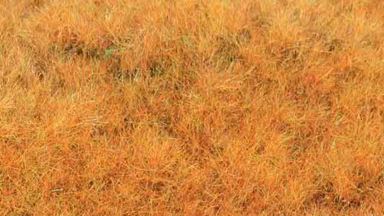 HEKI 33544 — Трава «Ранняя осень» (флок ~5—6 мм, ~75 г), 1:35—1:250, сделано в Германии