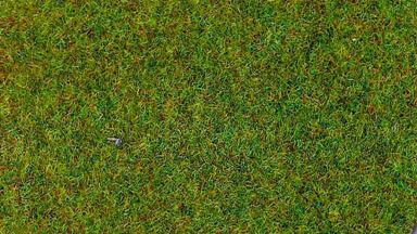 HEKI 3350x50 — Трава «Весенний луг» (флок ~2—3 мм, ~1000 г), 1:10—1:250, сделано в Германии