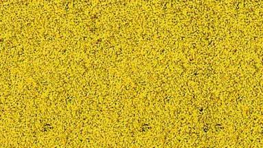 HEKI 1589 — Желтые цветы (пена ~280 × 140 мм), 1:35—1:250, сделано в Германии