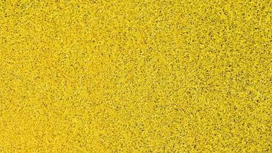 HEKI 3353 — Пшеничное поле, трава жёлтая, (флок ~2—3 мм, ~20 г), 1:10—1:250, сделано в Германии
