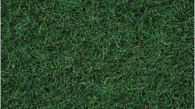 NOCH 08320 — Трава тёмно-зелёная «Торфяник» (флок ~2,5 мм, 20 г), 1:35—1:200, Сделано в ЕС