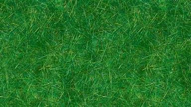 BUSCH 7370 — Трава тёмно-зелёная (флок ~6 мм, 20 г), 1:10—1:250