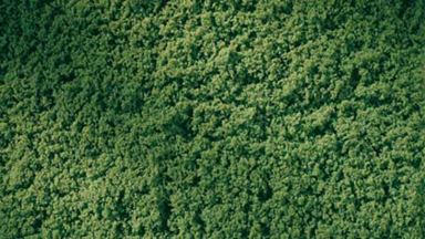 AUHAGEN 76669 — Трава зелёная (пена, 150 × 250 мм ≈ 0,04 м²), 1:10—1:250, сделано в Германии