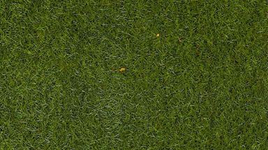 HEKI 3365 — Трава зелёная (флок ~2—3 мм, ~50 г), 1:35—1:250, сделано в Германии